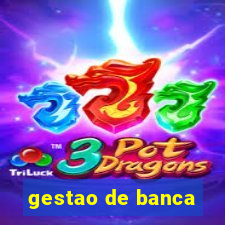 gestao de banca