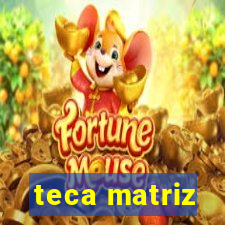 teca matriz