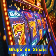 Grupo de Sinais Roleta whatsapp