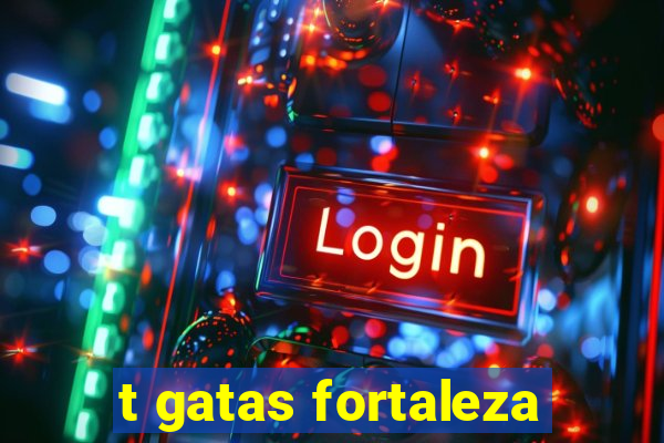 t gatas fortaleza