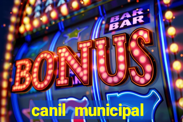 canil municipal porto alegre