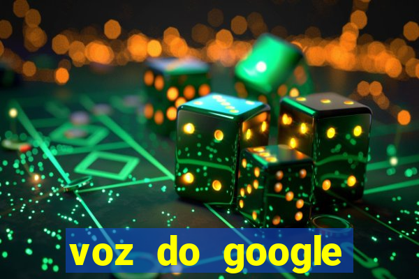 voz do google tradutor homem