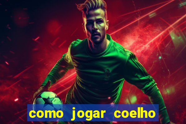 como jogar coelho da fortuna