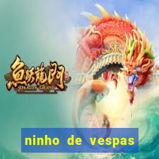 ninho de vespas significado espiritual